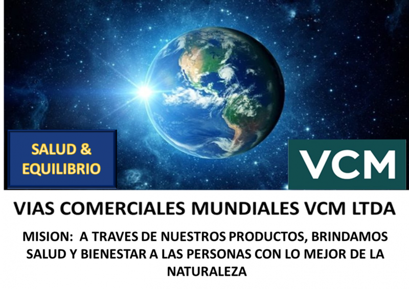 VIAS COMERCIALES MUNDIALES VCM LTDA