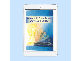 Ebook  Where Did I Come From? Where Am I Going?